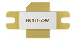 MGN31-250A 